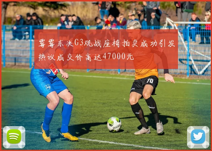 霉霉东决G3观战座椅拍卖成功引发热议成交价高达47000元